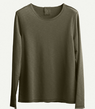 Load image into Gallery viewer, Jungle Sw