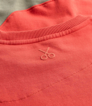 Load image into Gallery viewer, Flow Coral Sw