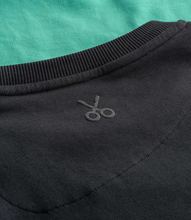 Load image into Gallery viewer, Flow Raven Sw