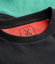 Load image into Gallery viewer, Flow Raven Sw