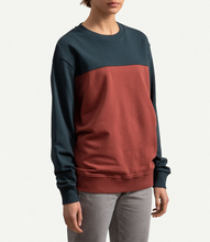 Load image into Gallery viewer, Horizon Brick Sw