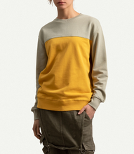 Load image into Gallery viewer, Horizon Sulphur Sw