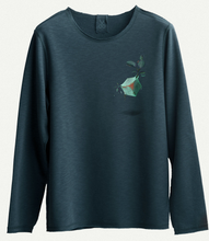 Load image into Gallery viewer, Placo Sw