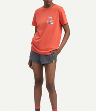 Load image into Gallery viewer, Heliopause