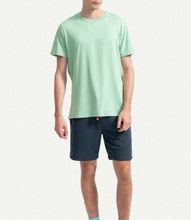 Load image into Gallery viewer, Regular Mint