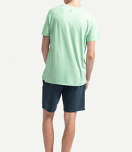 Load image into Gallery viewer, Regular Mint