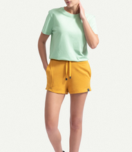 Load image into Gallery viewer, Regular Mint