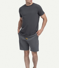 Load image into Gallery viewer, Regular Plum