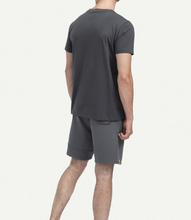 Load image into Gallery viewer, Regular Plum