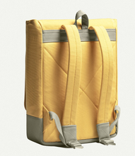 Load image into Gallery viewer, Nord Mini Sulphur