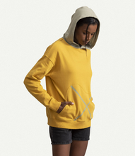 Load image into Gallery viewer, Xpocket Sulphur