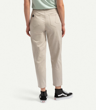 Load image into Gallery viewer, Panoes Bone