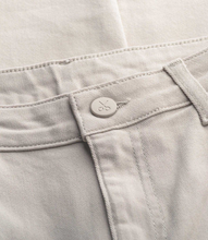 Load image into Gallery viewer, Panoes Bone