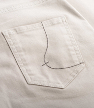 Load image into Gallery viewer, Panoes Bone