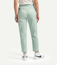 Load image into Gallery viewer, Panoes Mint