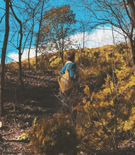 Load image into Gallery viewer, Nord Sulphur