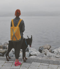 Load image into Gallery viewer, Nord Sulphur