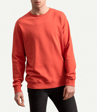 Load image into Gallery viewer, Ruga Coral Sw