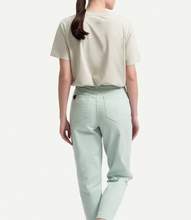 Load image into Gallery viewer, Flugi