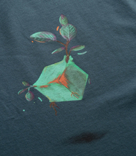 Load image into Gallery viewer, Placo