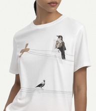 Load image into Gallery viewer, Sakinlik